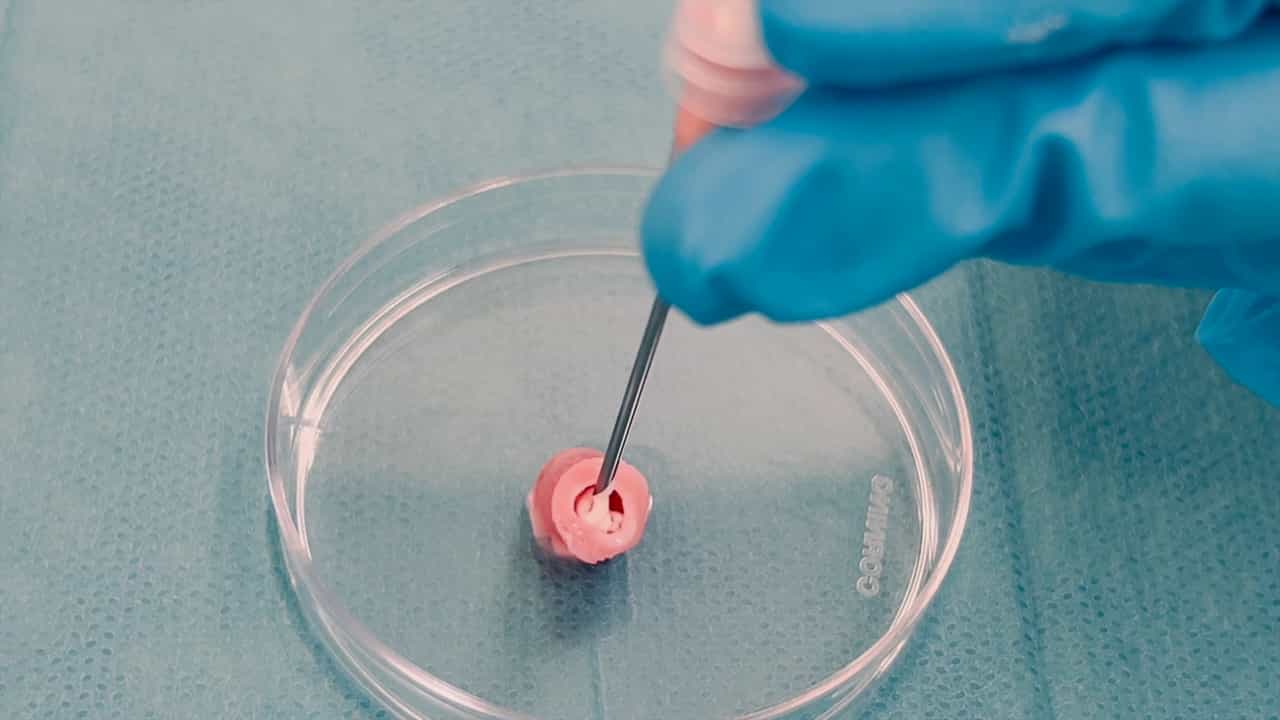 Author Spotlight: Advanced Techniques for Characterizing Tissue Mineralization in Bone Regeneration Research