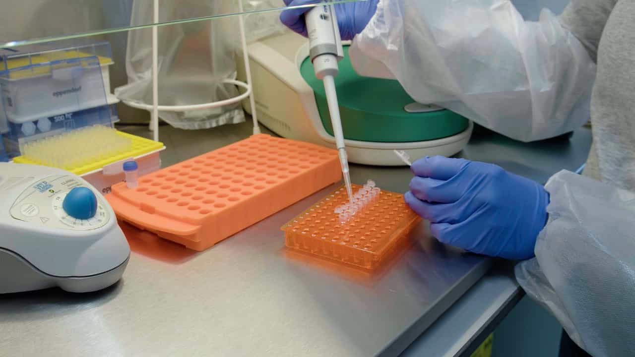 Author Spotlight: Optimizing Digital Droplet PCR Method for Accurate Adeno-Associated Viral Genome Quantification