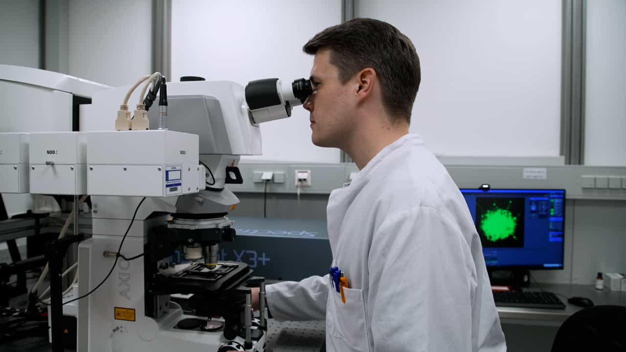 A Macrophage-Tumor Spheroid Co-Invasion Assay