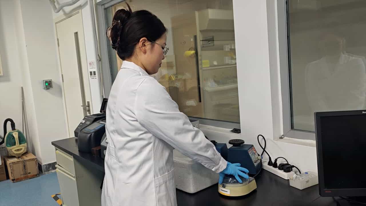 Screening Traditional Chinese Medicine Compounds for Inhibiting UCHL3 Activity Based on Molecular Docking and Deubiquitinating Enzyme Probe Technology