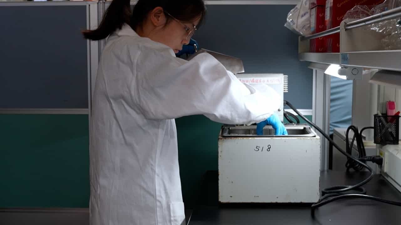 Author Spotlight: Polysome Profiling Protocol for Studying Translational Regulation in Arabidopsis Under Heat Stress