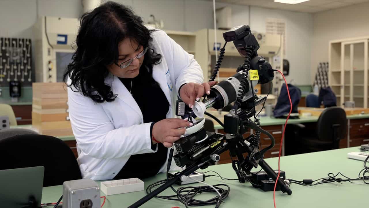A Rapid, Simple Workflow for Quantification of External Adult Drosophila Structures