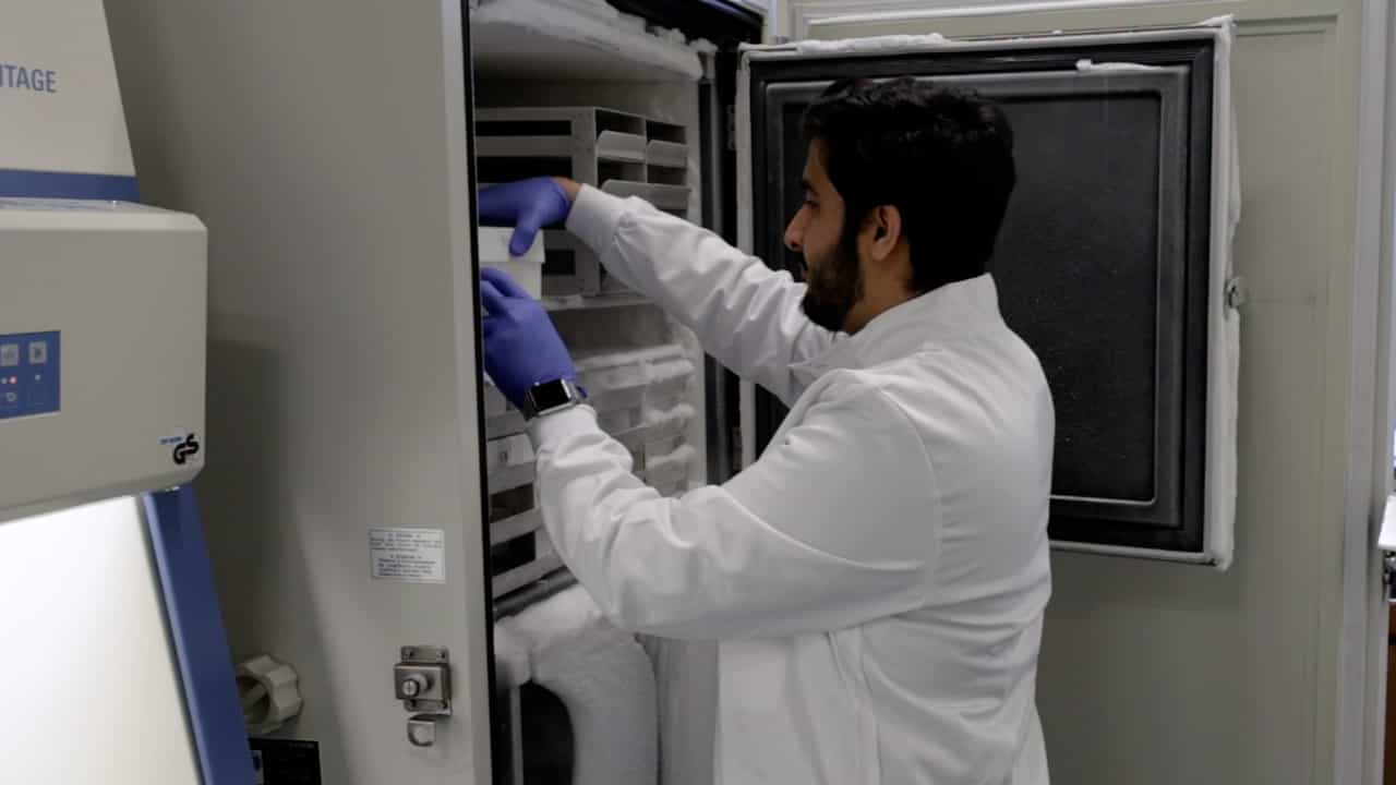 Organotypic Tissue Model Systems for Investigating Host-Pathogen Interactions In Vitro
