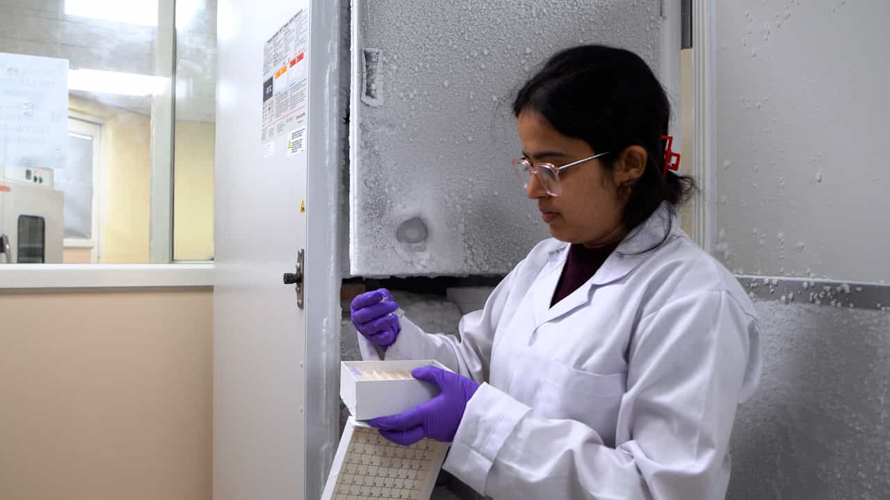 Preparation of Mycobacterium Tuberculosis Culture Filtrate to Understand TB Pathogenesis