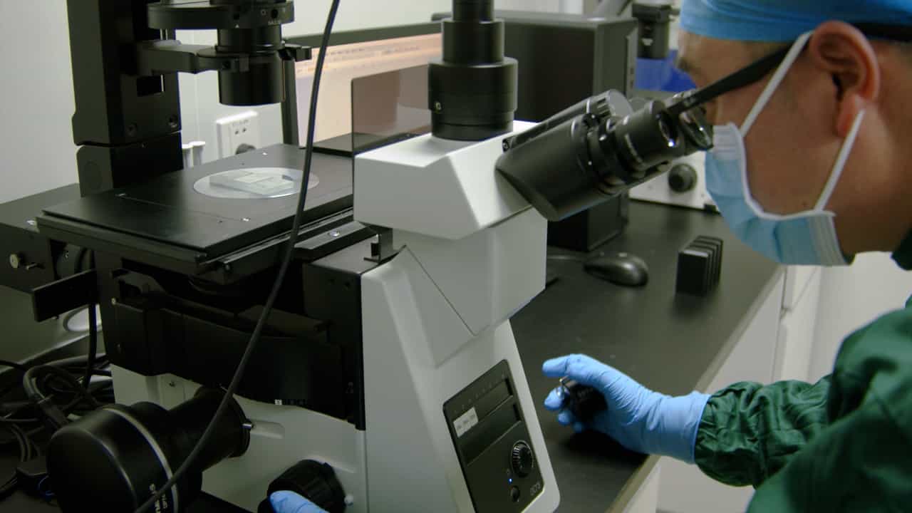 Isolation of Human BAMBIhighMFGE8high Umbilical Cord-Derived Mesenchymal Stromal Cells