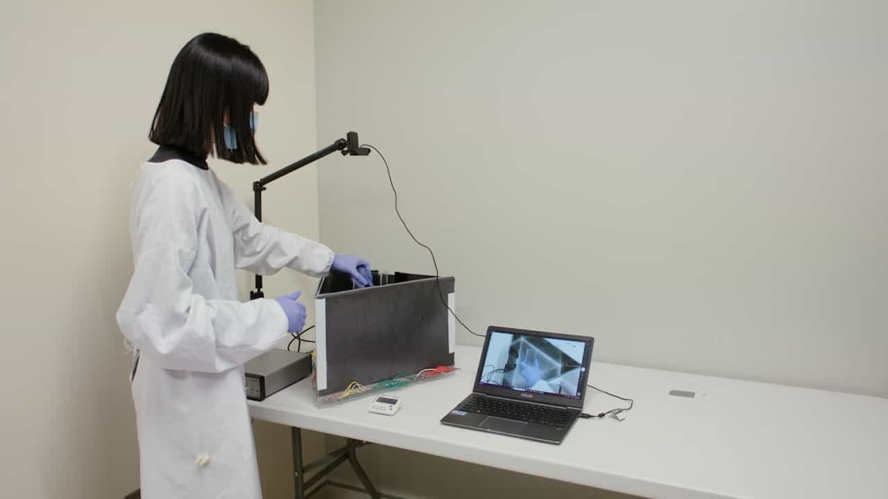 Behavioral Tasks for Examining Identity Recognition In Mice