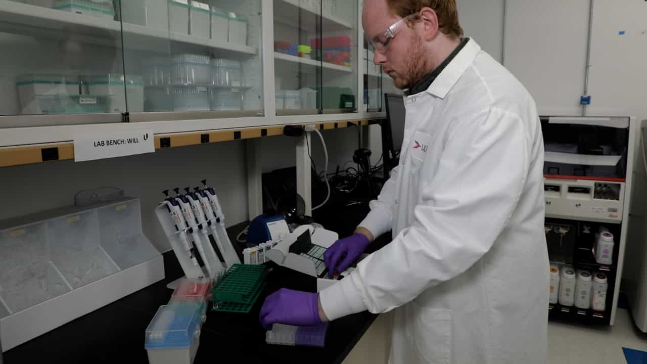 High-Throughput Automated Multiplex Immunofluorescence Assays for Translational Research