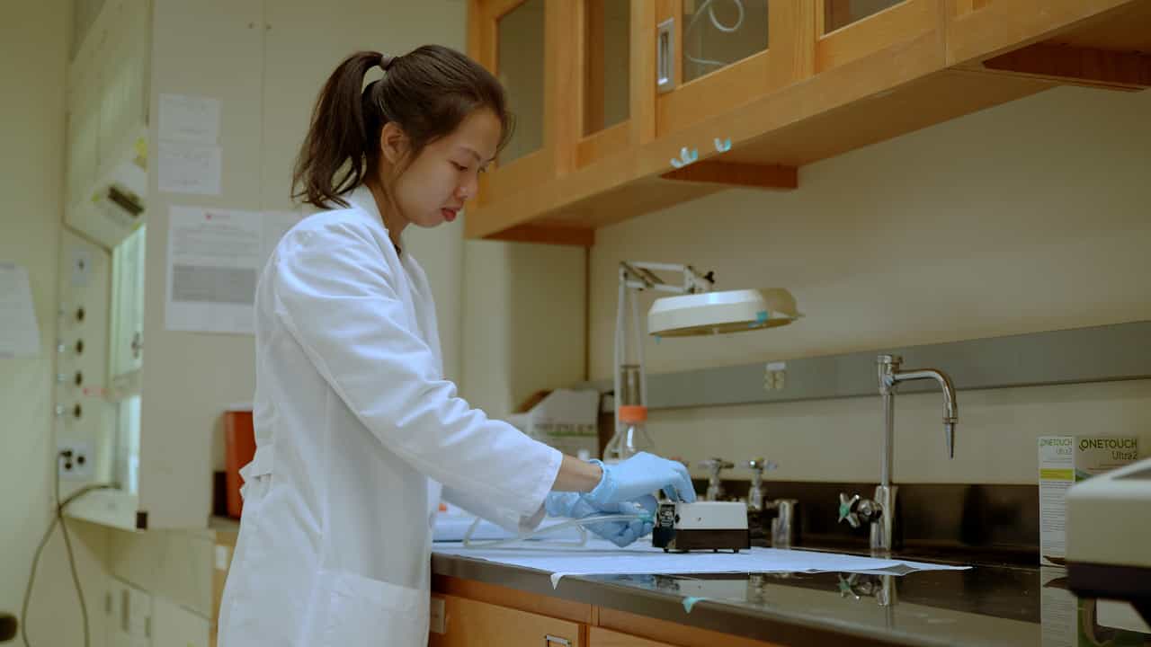 An Efficient Single-Person Technique for Milk Sampling from Laboratory Mice
