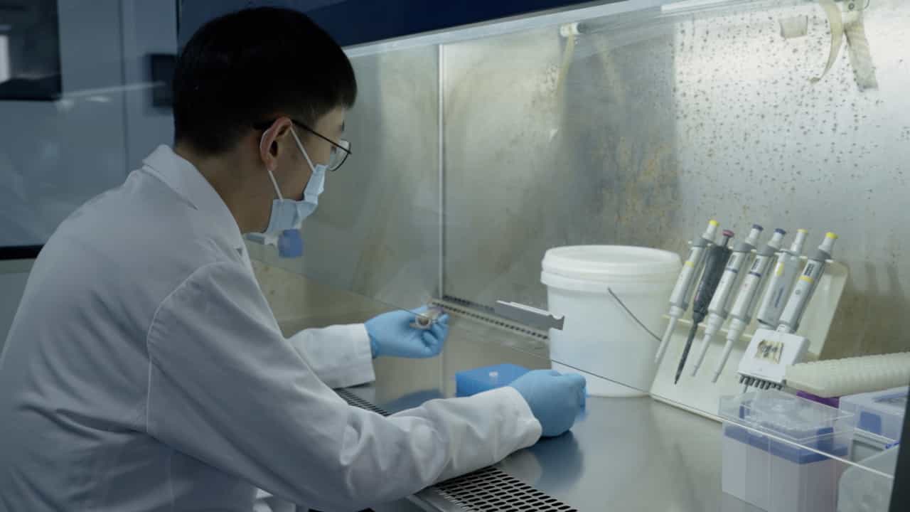 Detection of Helicobacter pylori Infection and Antibiotic Resistance via Stool Quantitative Polymerase Chain Reaction Analysis