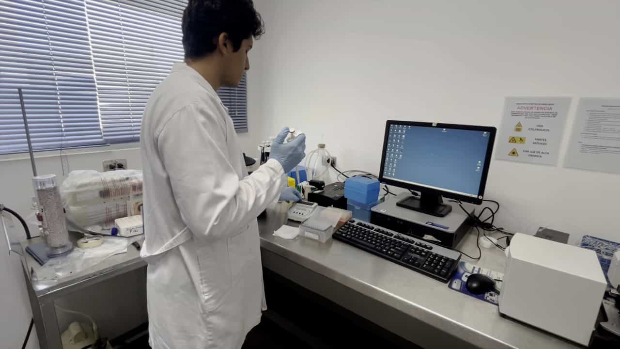 Purification of the Sarco-Endoplasmic Reticulum Ca2+-ATPase from Rabbit Muscle
