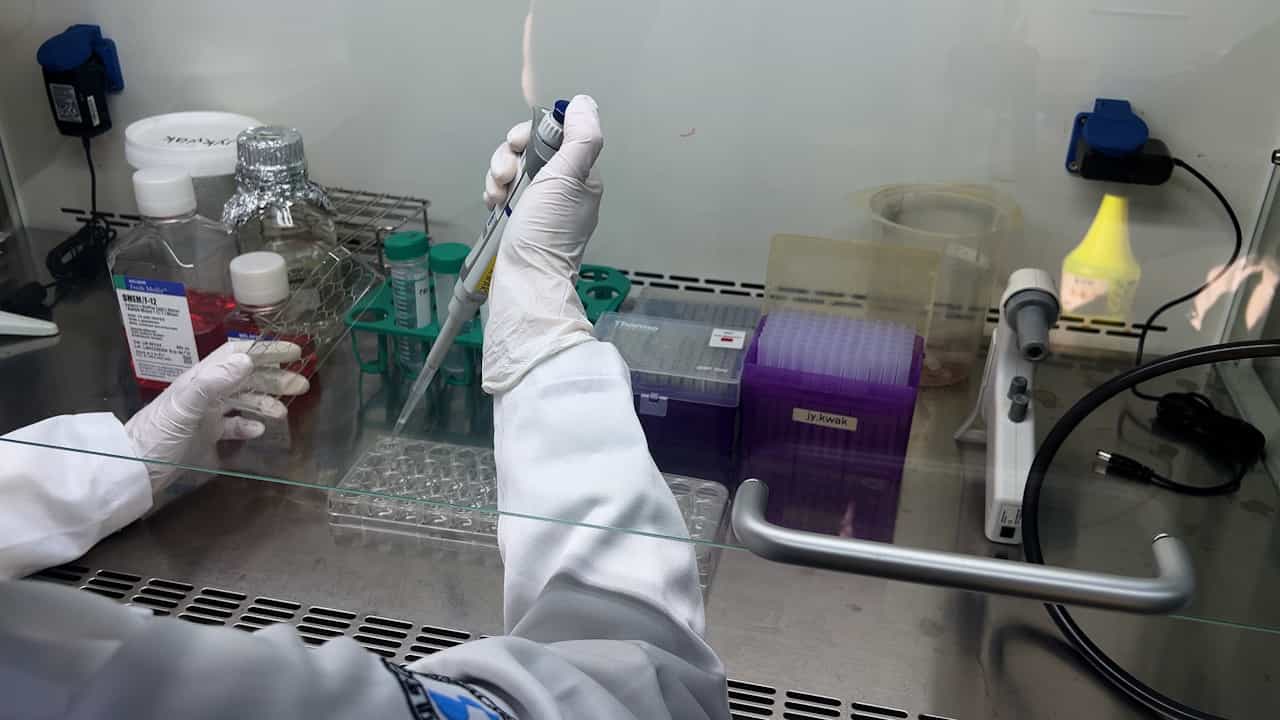 Author Spotlight: Advancing 3D Coculture Systems with PVA-PCL Nanofibrous Membranes