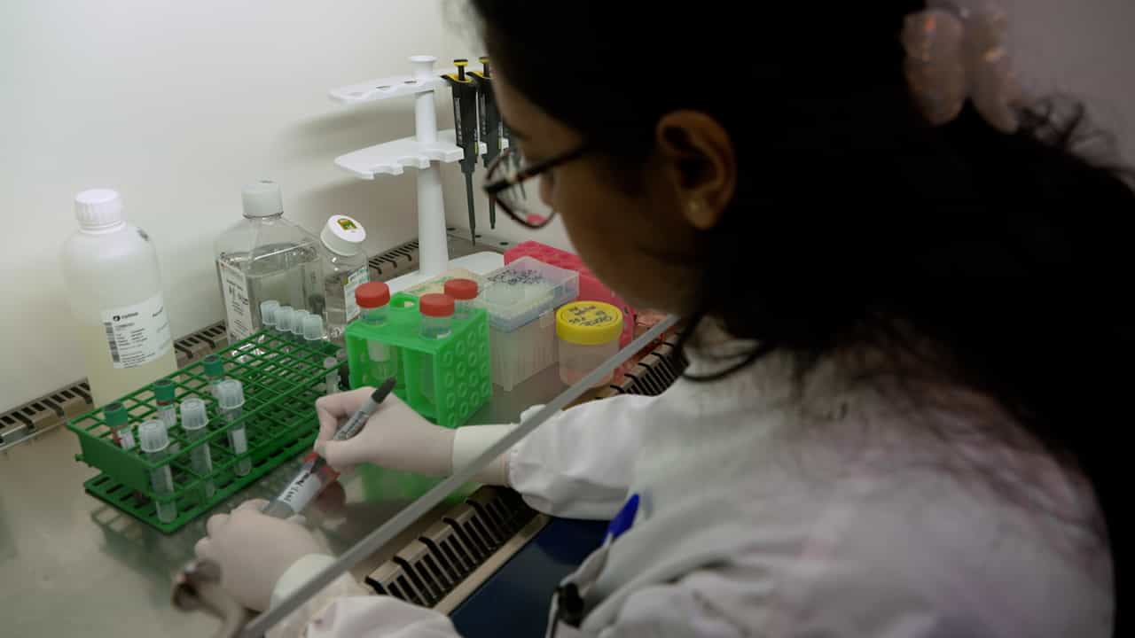 The Isolation and Characterization of Low- and Normal- Density Neutrophils from Whole Blood