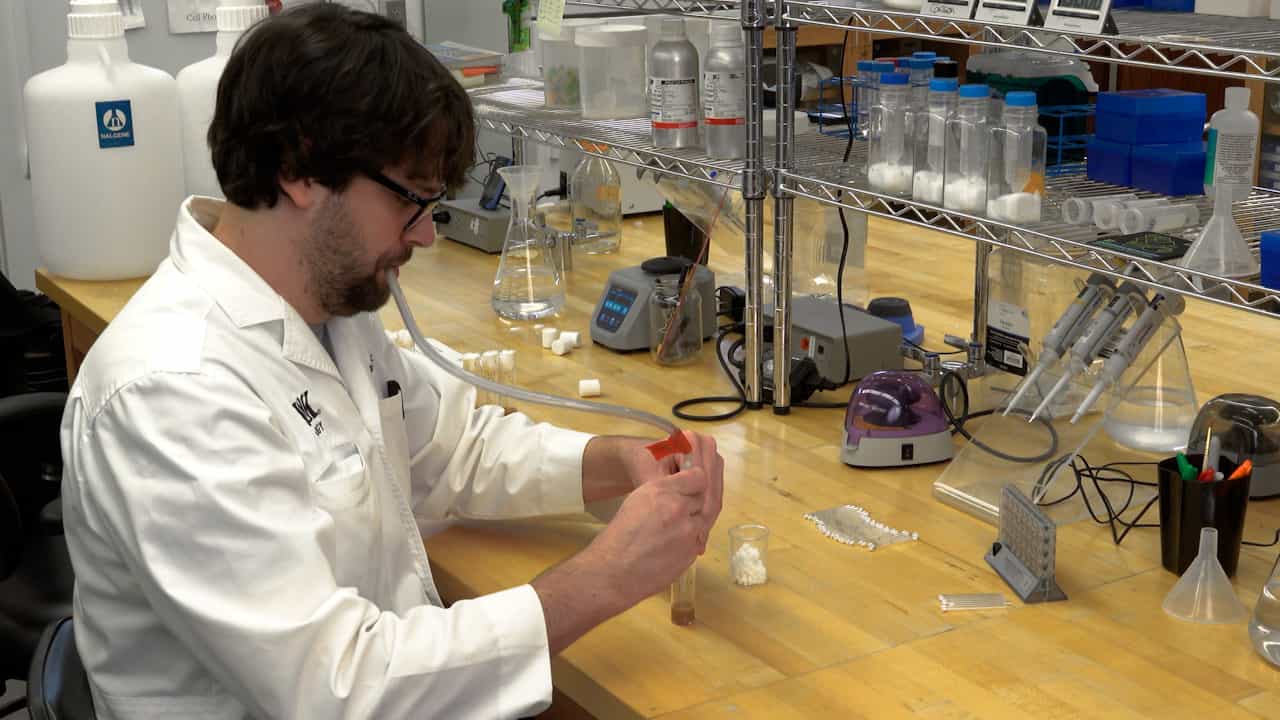 Heat Tolerance Assays Using the Drosophila Activity Monitor System: A Guide to an Executable Application for Data Analysis