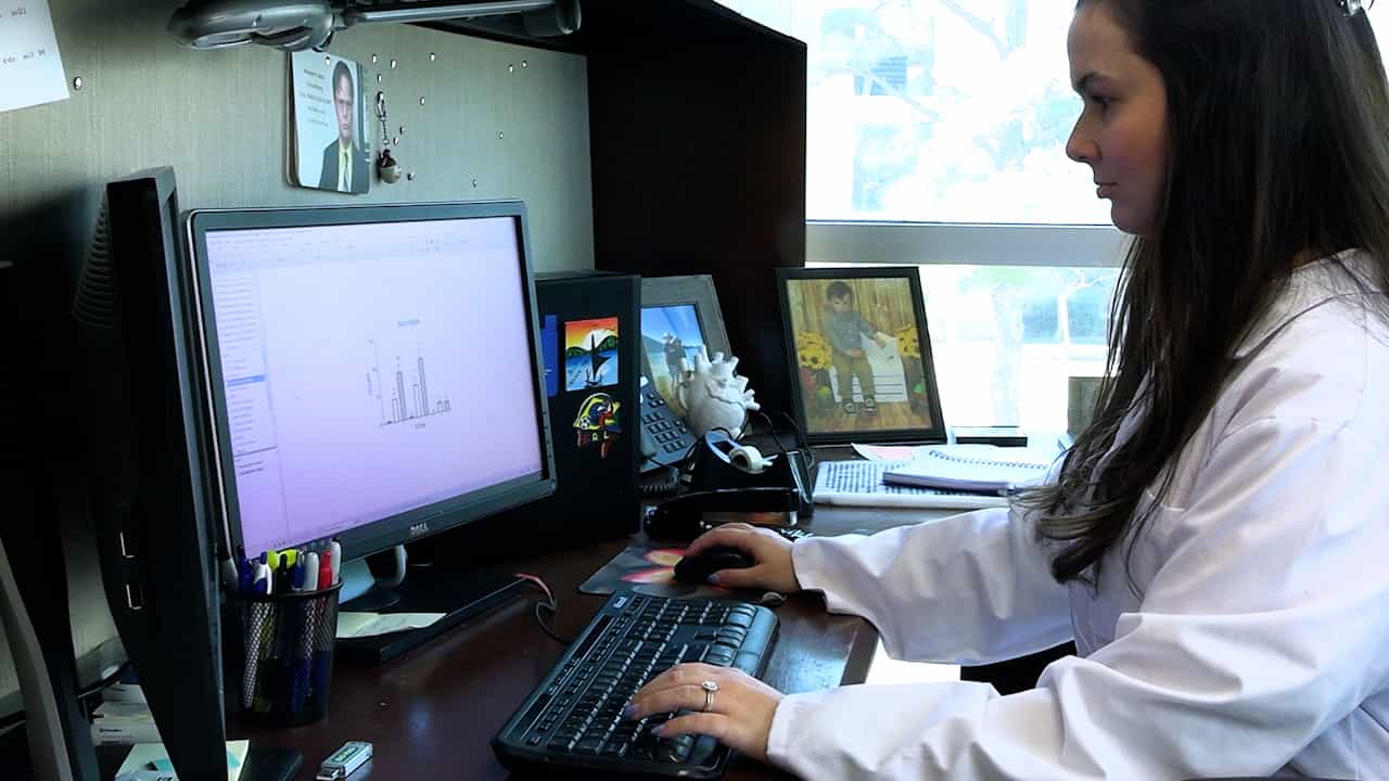 Analyzing Ex Vivo Metabolic Flux in Splenic and Cardiac Macrophages and Bone Marrow Monocytes