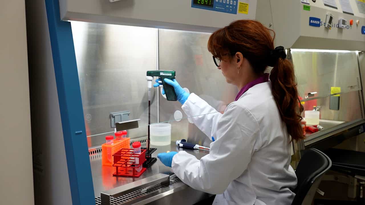 Prediction of Red Blood Cell Antibody Significance Using the Monocyte-Macrophage Assay