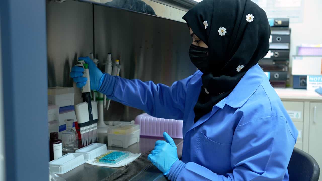 COVID-19 Seroprevalence Test for IgG Antibody Levels Among Healthy Donors Across Different Pandemic Phases in Jeddah