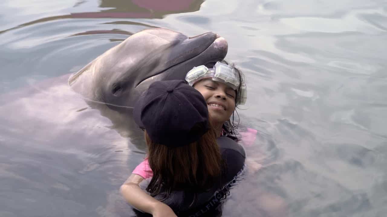 Electroencephalographic Signal Acquisition Framework for Neurodiverse: A Case Study of Dolphin-Assisted Therapy