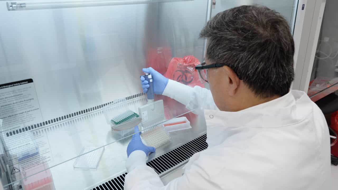 A Streamlined, Label-Free Real-Time 50% Tissue Culture Infectious Dose (TCID50) Assay using Impedance for Automated Viral Titer Quantification