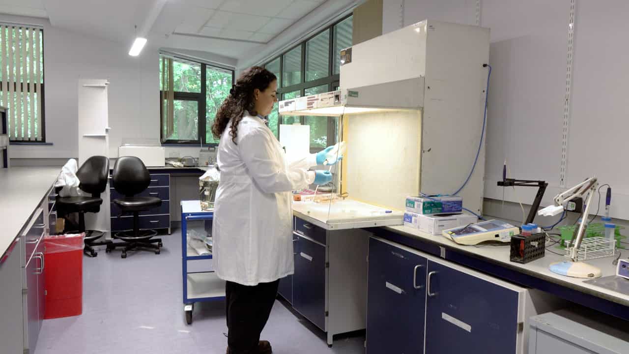 An In Vitro Bladder Model of Catheter-Associated Urinary Tract Infection