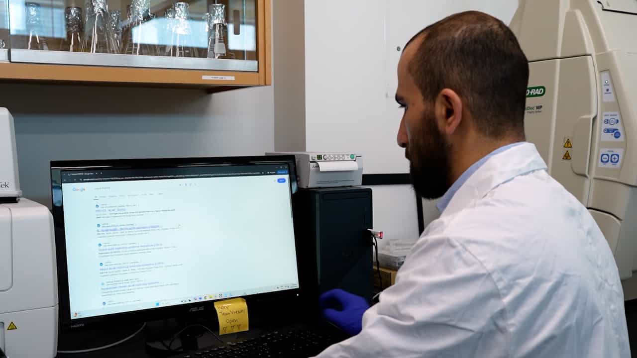 Cell-Free Dot Blot as a Practical and Adaptable Immunoassay Platform for the Detection of Antibody Response in Human and Animal Sera