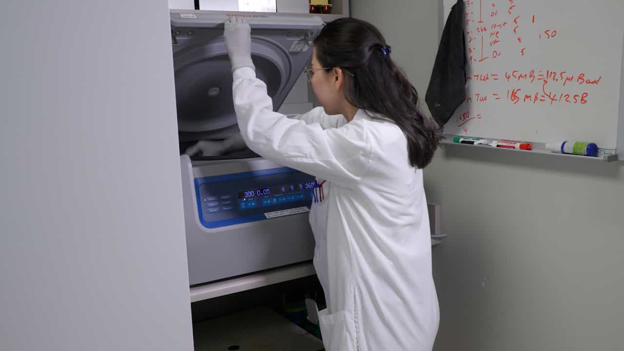 Studying Interactions between Myeloid Cells and CAR T Cells In Vitro and In Vivo