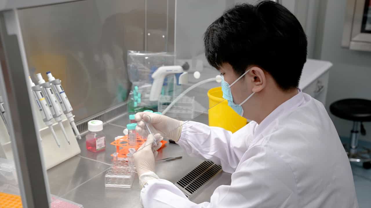 Establishment and Histological Analysis of Esophageal Organoids Modeling the Progression from Normal to Cancerous Tissues