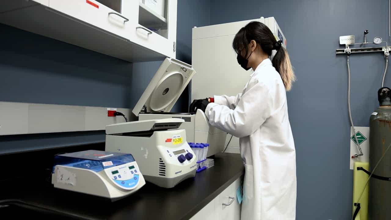 A Simple and Efficient Method for Testing Immunomodulatory Agents for Generation of Tolerogenic Dendritic Cells from Human CD14+ Monocytes