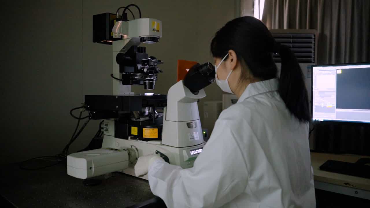 Determination of Mitochondrial Morphology in Live Cells Using Confocal Microscopy