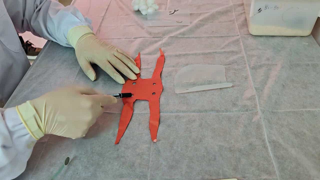 Fixation and Operational Method for Abdominal Massage in T2DM Mice