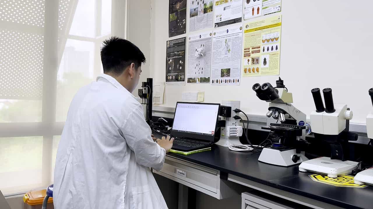 A Concoction Pipeline for Generating Molecular Operational Taxonomic Units (MOTUs) Among Riparian and Aquatic Beetles