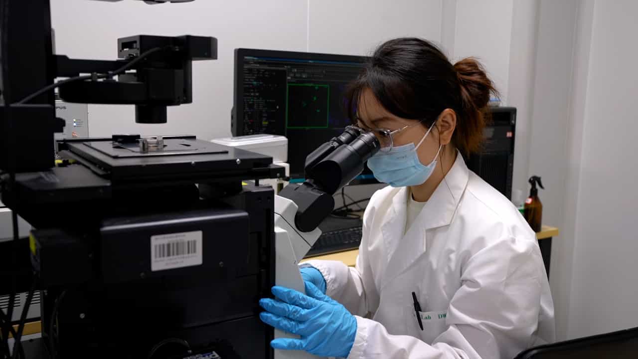 Production of a SARS-CoV-2 Virus-Like-Particle System to Investigate Viral Life Cycles In Vitro