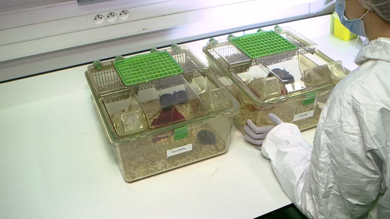 An Olfactory Preference Test for Measuring Olfactory Hedonic Biases in Mouse Models of Depression