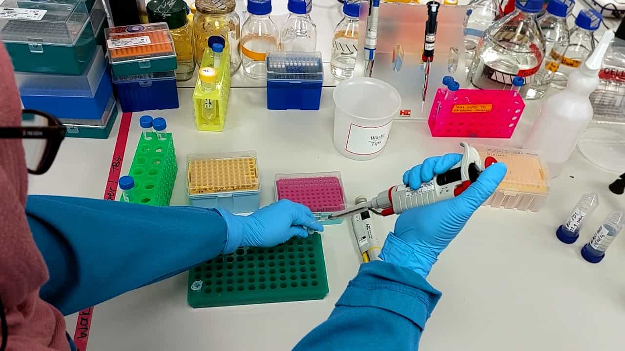 Whole-Genome Deoxyribonucleic Acid Extraction from Mycobacterium Species via the Cetyltrimethylammonium Bromide Technique