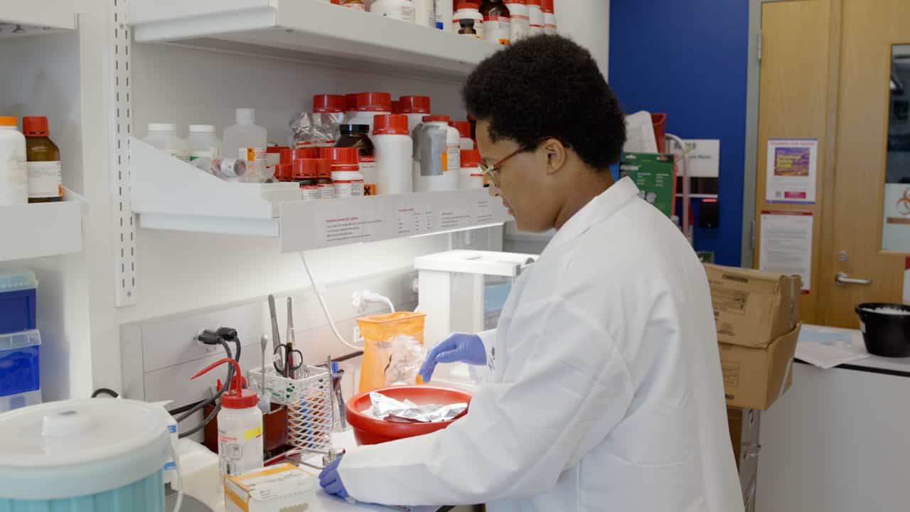 Measurement of Cyclic Guanosine Monophosphate (cGMP) in Solid Tissues using Competitive Enzyme-Linked Immunosorbent Assay (ELISA)