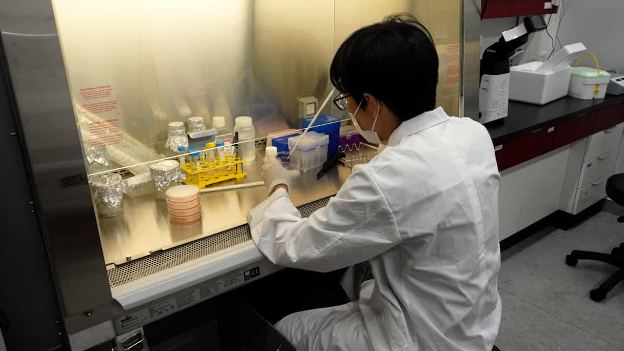 Real-Time Metabolic Detection in Living Cells Using Hyperpolarized 13C NMR