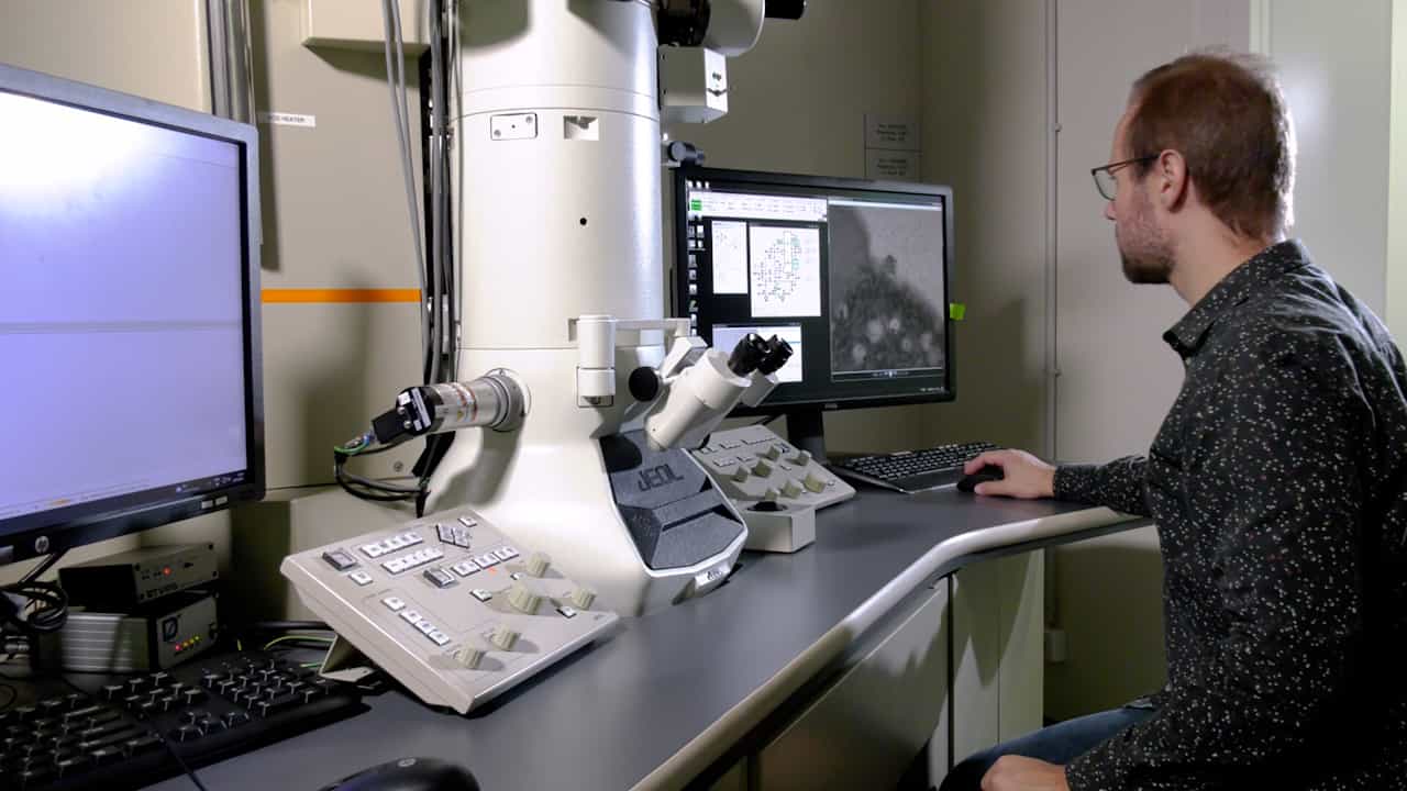 Scanning Transmission Electron Microscopy Tomography in Virology: 3D Imaging of High-pressure Frozen, Freeze-substituted Samples