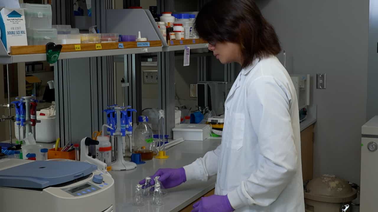 Overexpressing and Purifying a Toxic Nuclease from Escherichia coli