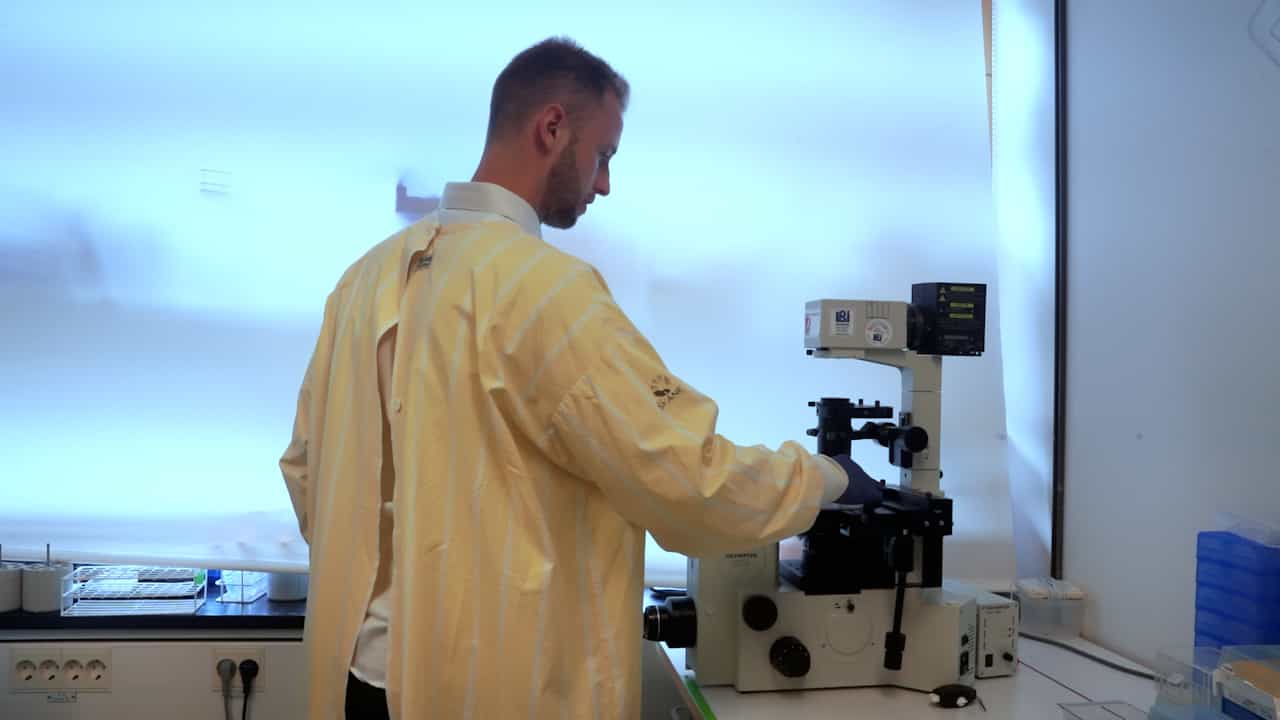 Tractable In Vivo Reprogramming of Tumor Cells to Type 1 Conventional Dendritic Cell-like Cells