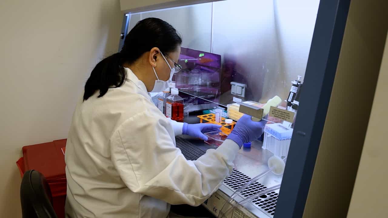 Establishment and Quantification of De Novo Lytic Infection by Cell-free Kaposi's Sarcoma-Associated Herpesvirus
