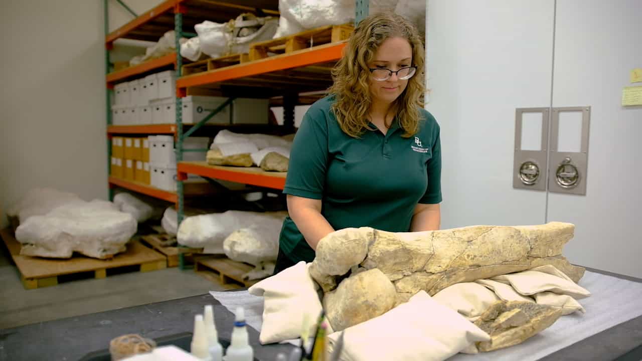 Using Archival Japanese Paper and Thermoplastic Resins to Prepare Fossils for Storage, Display, Transport, and Radiography