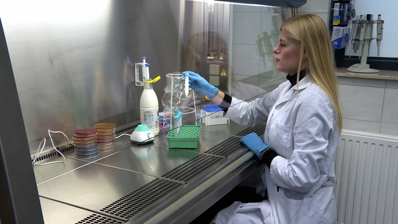 Evaluation of Microbial Safety of Dairies using Bacterial Proteomic Profiling via MALDI Approach