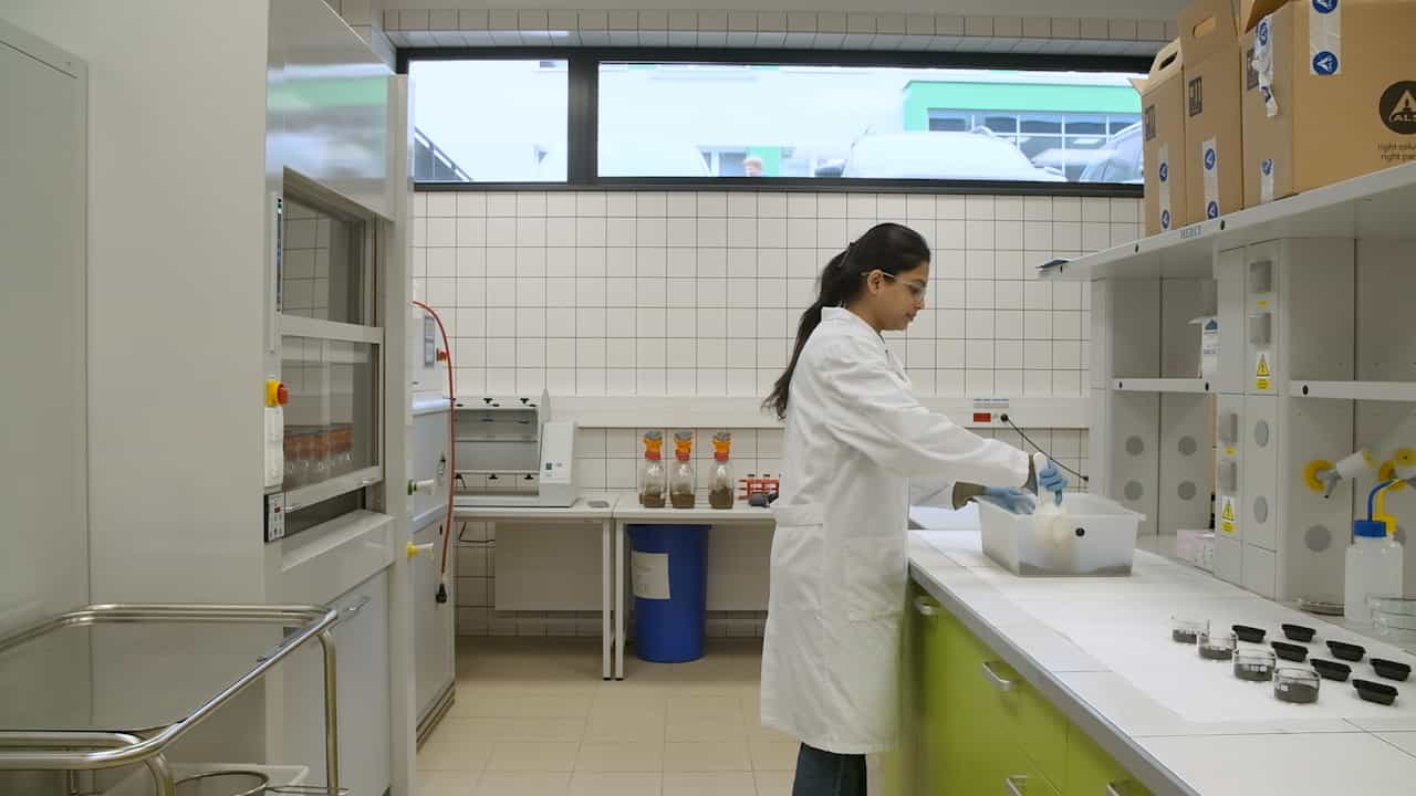 Assessment of Waste-Derived Biochars on the Health and Biological Activity of Soil