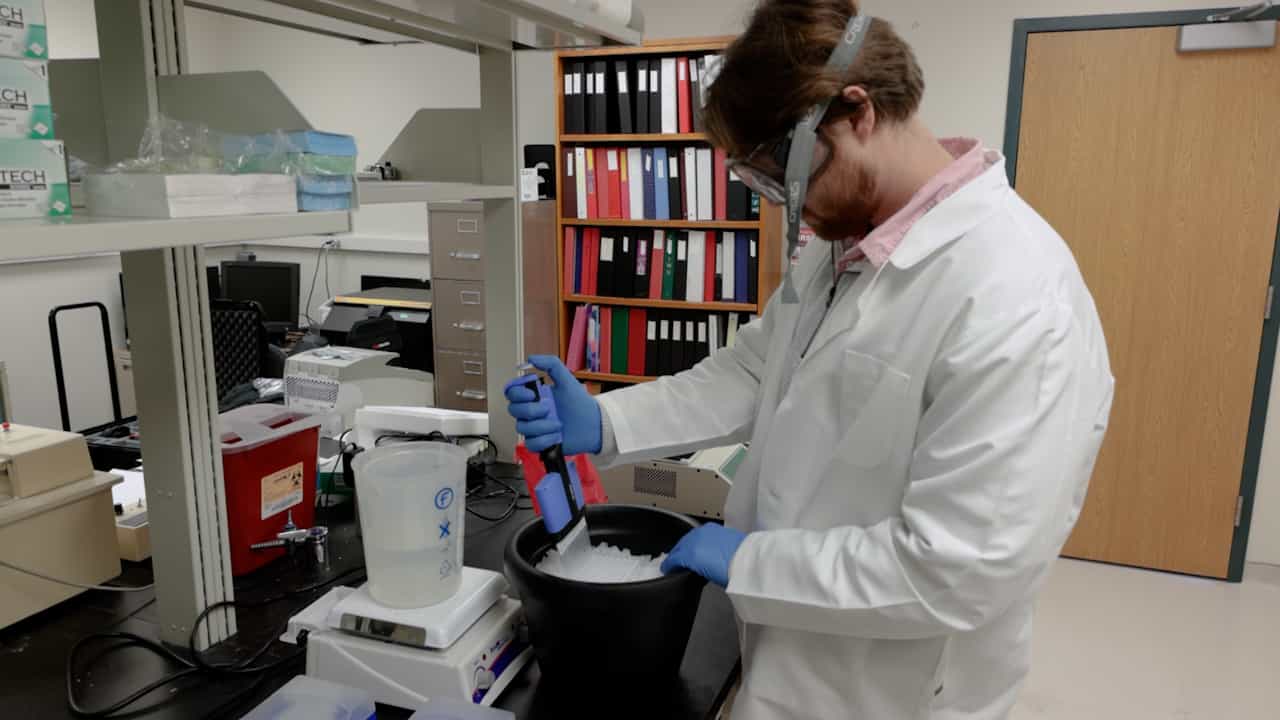 Radiochemical Assessment of Glycogen Synthase Enzyme Activity in Animal Tissue