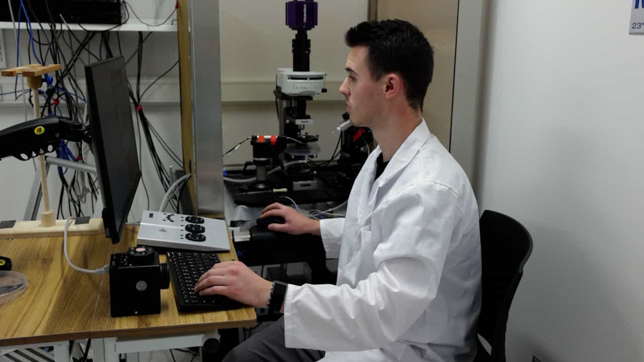 Dynamic Clamp Methods to Investigate Impaired Neuronal Excitability Associated with Autism