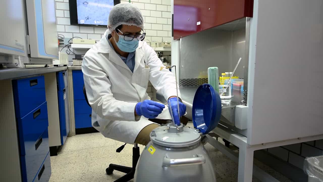 A Simple Microaspiration Technique for Isolating Somatic Cells from Cryopreserved Equine Semen as Nuclear Donors for Cloning