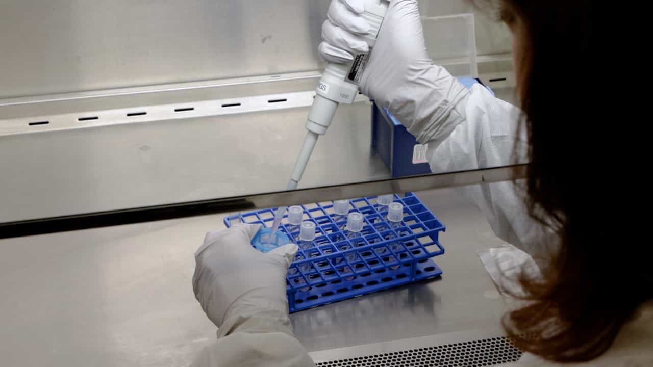 Purification of HLA-G+ Extravillous Trophoblasts from Human Term Placental Tissues for Phenotyping and Functional Analysis