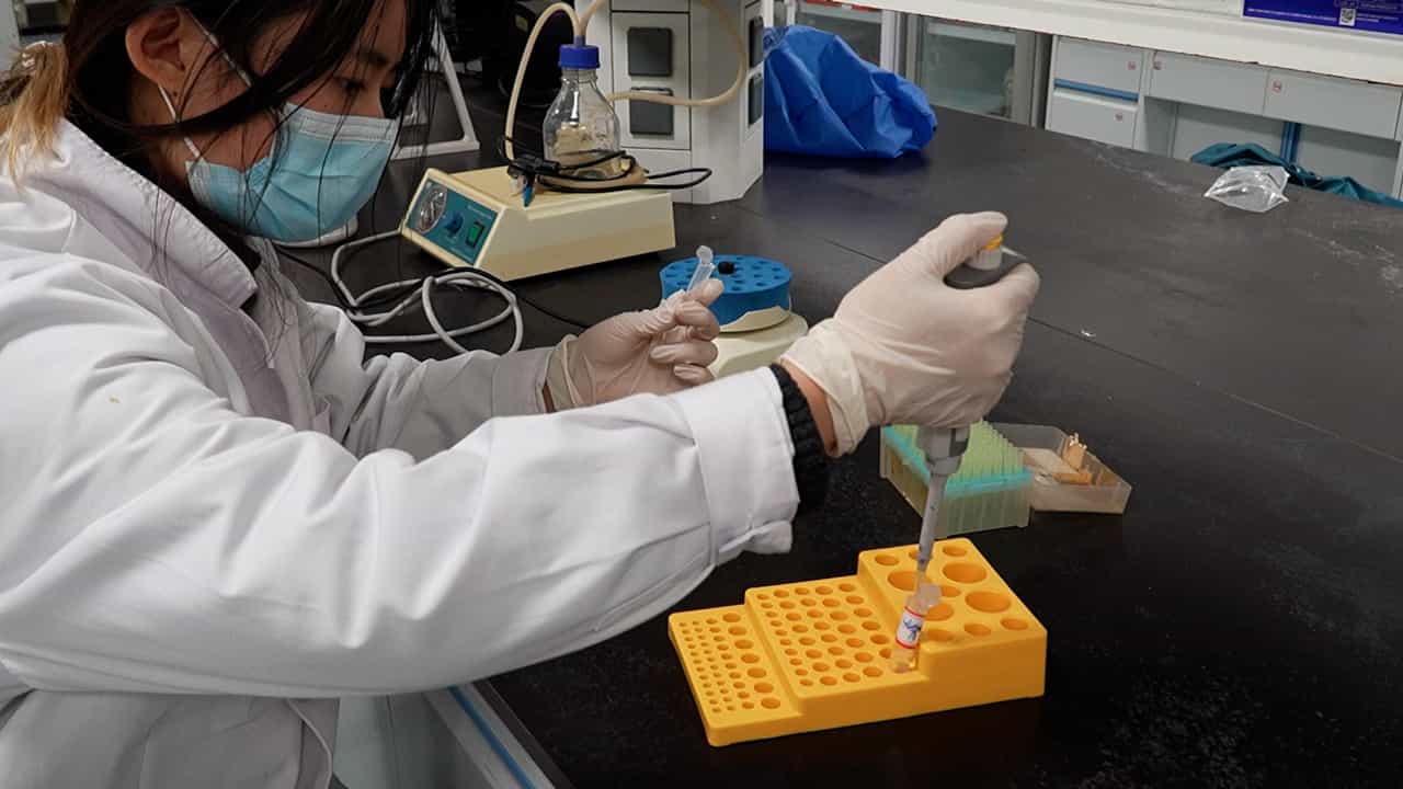 Preparation Of Neovascular Tissues from Human Glioma Tissues for Quantitative Proteomics Analysis of Tumor Angiogenesis