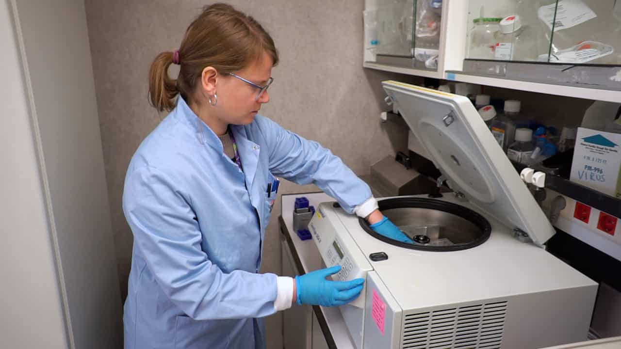 Improving CRISPR-Cas9 Screens in CAR T Cells: A Refined Method for Library Preparation