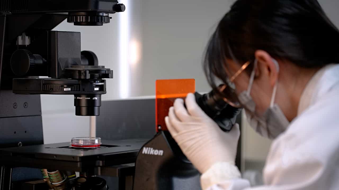 Dot Blot Assay for Detecting Global N6-Methyladenosine RNA Modification Levels