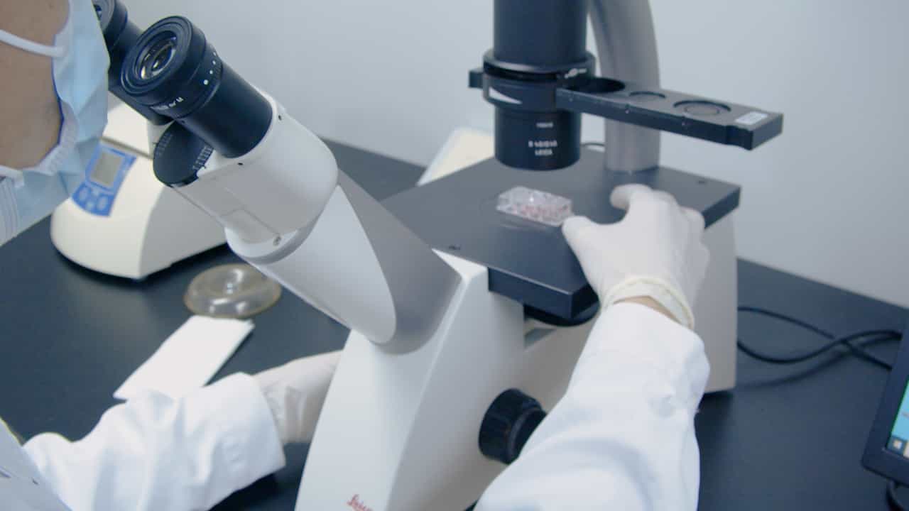 Standardized Method to Detect Tunneling Nanotubes in Human Skin Cells for Tissue Engineering Applications